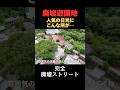 住宅真横に大迷惑！閉業した巨大レジャー施設に歴代アメリカ大統領の顔の廃墟が…かつての人気観光地を徹底取材　#廃墟 #日光 #観光スポット #不動産 #アナウンサー