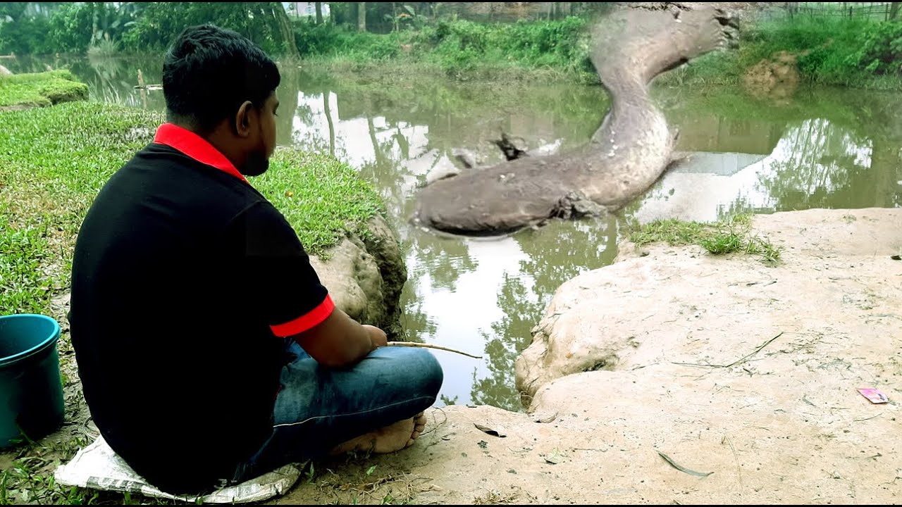 Smart boy hunting big fish by Bamboo rod|Best hook fishing|Hook fishing in the Flood water.part _27