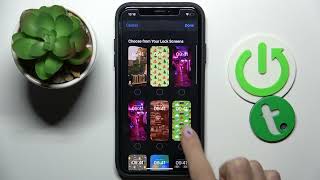 How to Enable Driving Focus on iOS 16 - iPhone Best Features