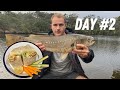 2 DAYS of CHASING RIVER MONSTERS in Western Australia - CATCH and COOK- Butter Garlic FISH WRAPS