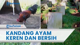 Viral Kandang Ayam Keren dan Unik, Penampakannya Seperti Perkampungan Bersih