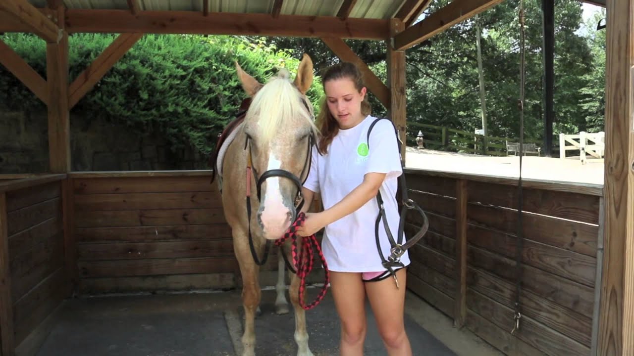 Playing Tack How to Put on Tack - YouTube