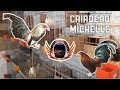 Visita al CRIADERO MICHELLE, gallos miniatura y aves de raza