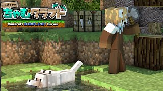 【Minecraft/ちゃむクラフト】銅閣寺完成まで行きたいな～【赤熊猫行燈/CHUMPLANET 】