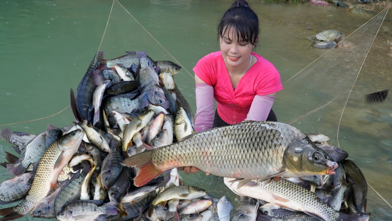 How to catch giant fish from bamboo traps simply and effectively