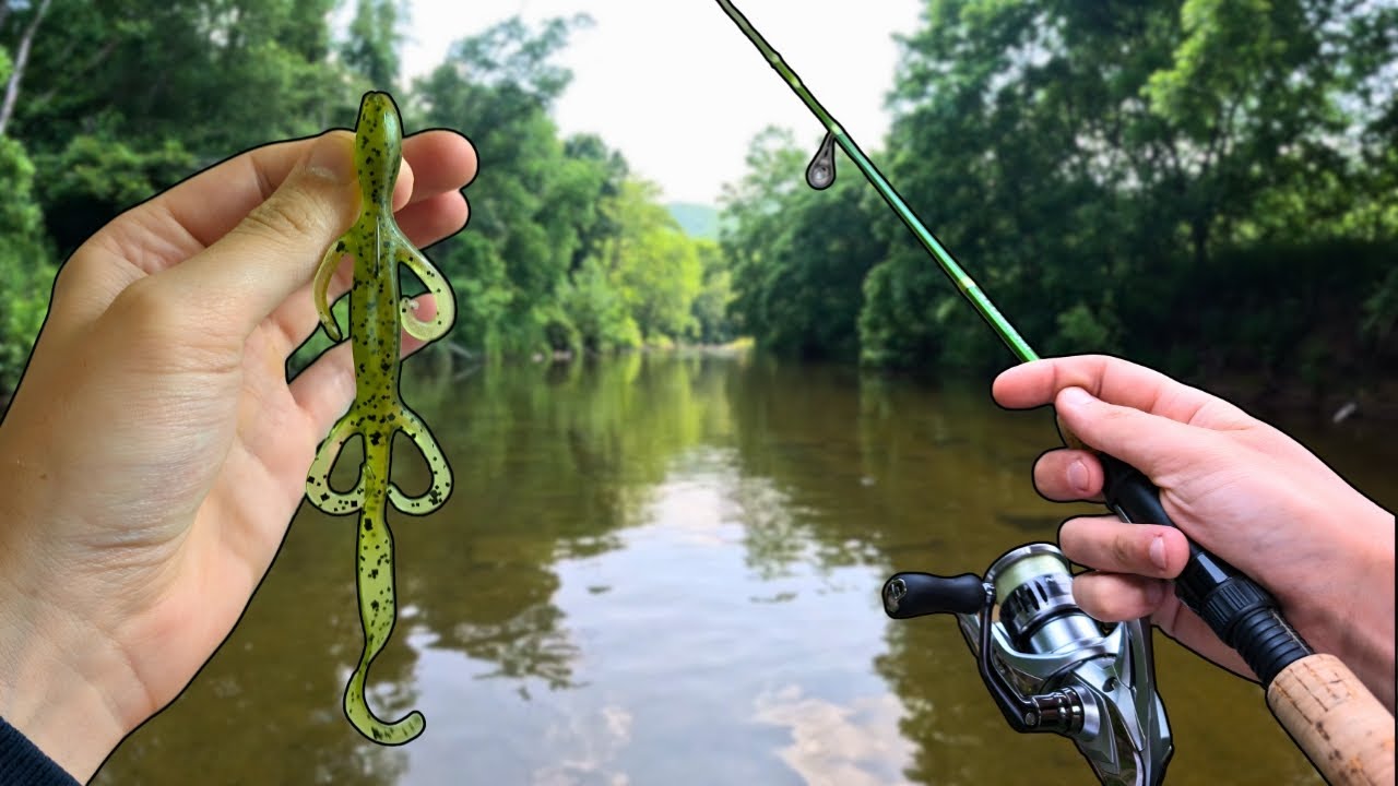 The Bass Didn't Stand a Chance When Using this Bait!