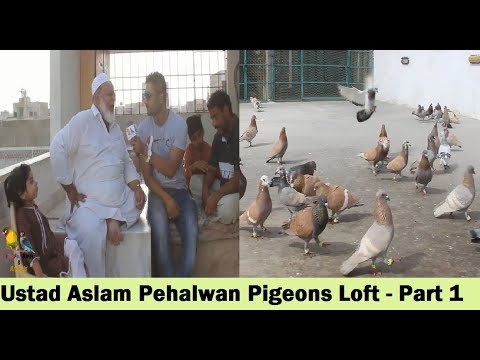 birdsboro pa Ustad Aslam Pehalwan Ki Chaht - Again visit Part 1