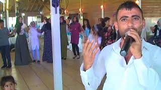 Foto Star & Grup Memocanmehmet Kalkan-Nideyim-Gelinim Ol-Tayyi̇b Kaymaz