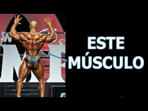 Usa Esta Técnica para Desarrollar tu Espalda en V - Usa Esta Técnica para Desarrollar tu Espalda en V