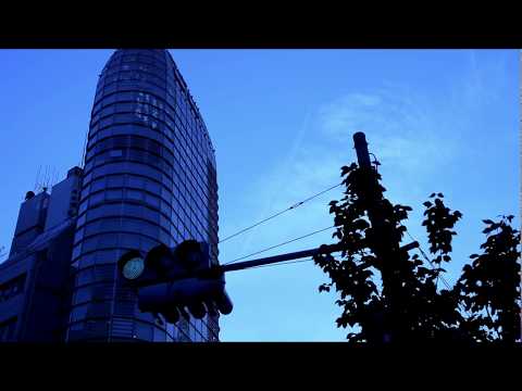 馬鹿みたいだ。 feat.IA [MV]