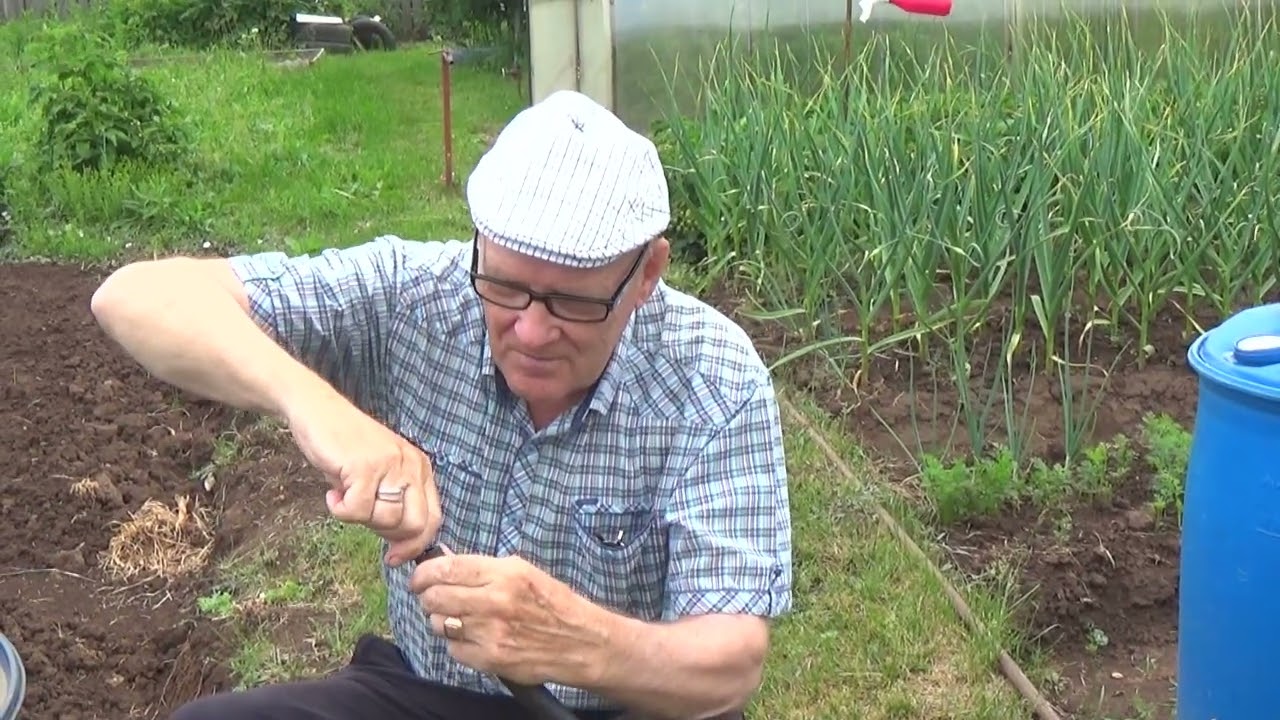 Дачники , рыбаки  , автомобилисты.