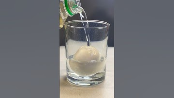 What Happens When You Soak an Egg in Vinegar? Mind-Blowing Experiment!