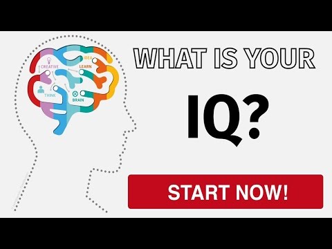 IQ题# 6 （小岛）