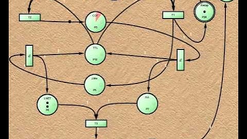 A Petri Net simulation for Aggressive Behaviour