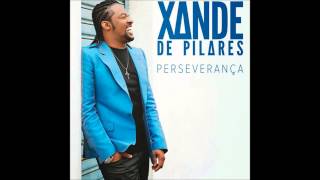 Video thumbnail of "Xande de Pilares - Perseverança"