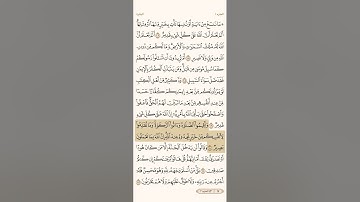 سورة البقرة القارئ الشيخ علي الحذيفي الصفحة ١٧