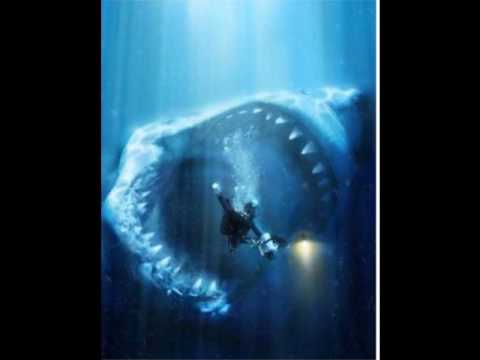 Megaldon/biggest shark in the WORLD! - YouTube