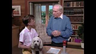 What Is "Positive Reinforcement?" (Mr. Wizard)