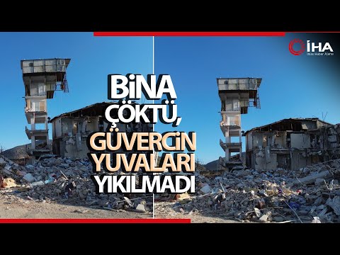 Bina Çöktü, Güvercin Yuvalarının Olduğu Kolonlar Yıkılmadı