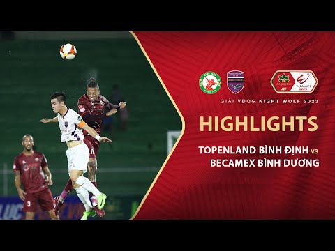 Binh Dinh Binh Duong Goals And Highlights