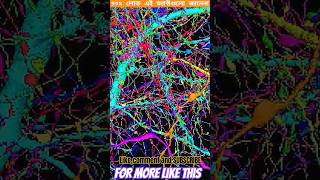 99% লোক এই ফ্যাক্টগুলো জানেনা। Amazing Random Facts In Bangla.