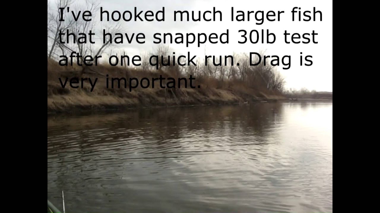 Snagging Invasive Asian Carp for Catfish Bait YouTube