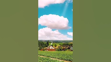 قرآن كريم🌷صوت جميل جدا🌹(وإذا قُرِئَ الْقُرْآنُ فَاسْتَمِعُوا له وَأَنْصِتُوا)🌹راحة نفسية ❤️1257