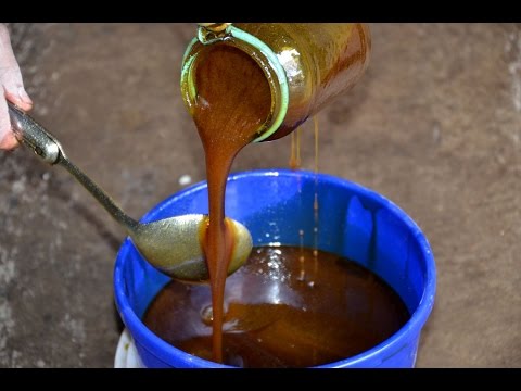 Переработка хлопка и Производство хлопкового масла в хозяйстве Сайед