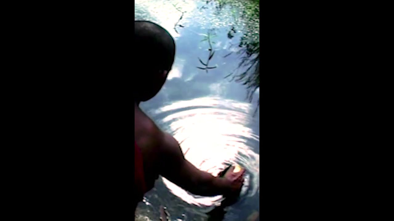 Short film trailer |'Bhanu Prasanna'' memorial short film screening..