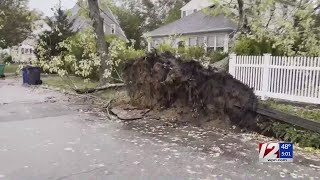 12 News team coverage on storm damage