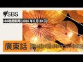 SBS晚間新聞 (2026 年 5 月 20 日) | SBS Cantonese - SBS廣東話節目