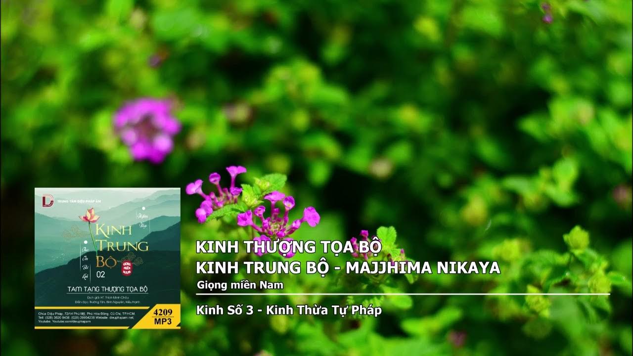K.Số 3 – K.Thừa Tự Pháp giọng miền Nam 