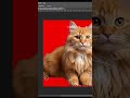 How to remove background in images with hair and fur in photoshop
