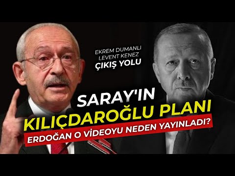 Video: Araştırma. Çıkış