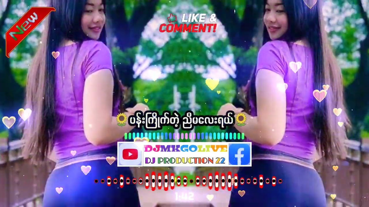ပန်းကြိုက်တဲ့ ညီမလေး မြန်မာdj တီးလုံးအလွတ်