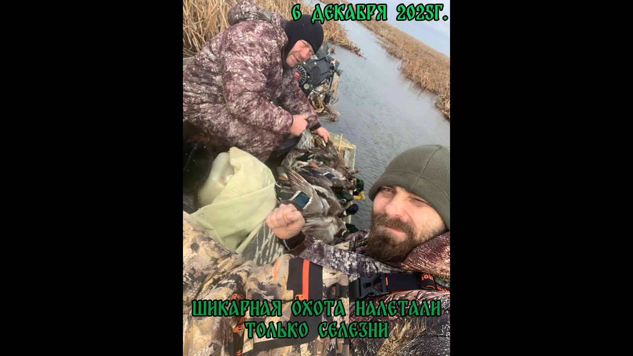 Шикарная охота!!! Налетали только селезни!!! 6 декабря 2025г.