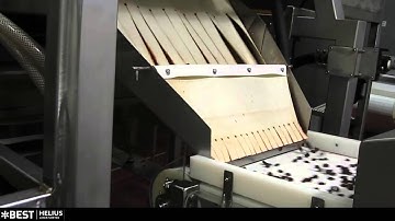 Dried cherry sorting machine Helius - TOMRA Sorting
