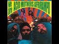 Acid Mothers Afrirampo / We’re Acid Mothers Afrirampo!