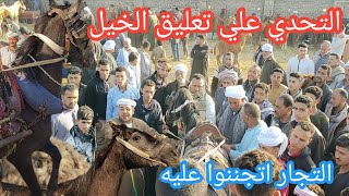 اسعار الخيل والمهر الجر والركوب ومزاد علي حصان والتجار اتجننوا عليه والتحدي كبير اوي من تجار الخيل