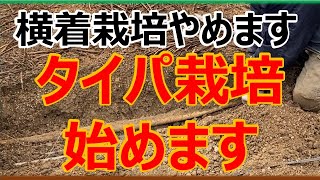 【タイパ農業】横着栽培あらためタイパ栽培を始めます