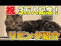 【祝チャンネル登録3万人】リビング紹介!