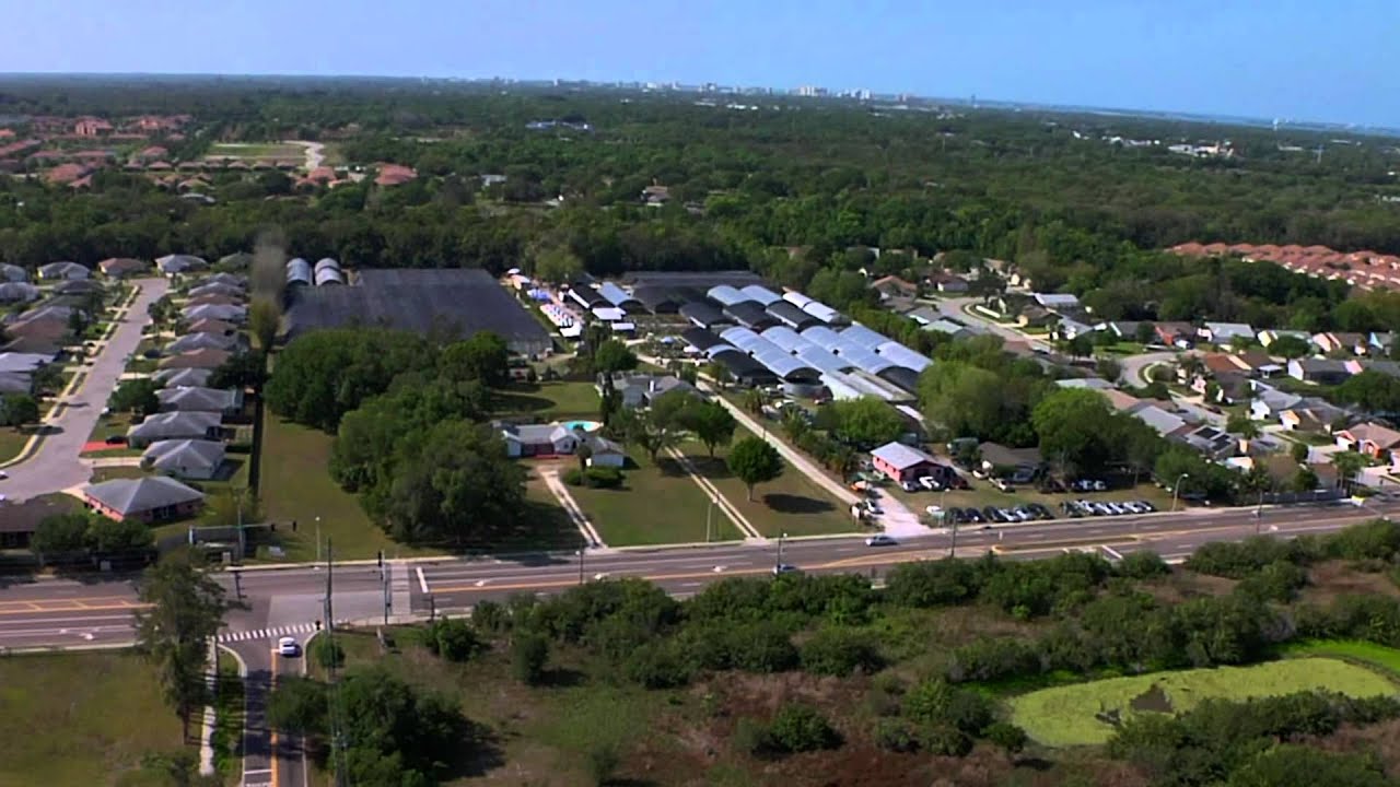 Tropiflora Spring Festival 2012 movie.avi YouTube