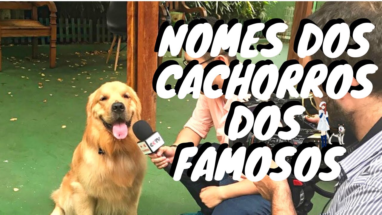 Conhe a O Nome Dos Cachorros Dos Famosos YouTube