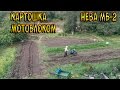 Копаем картошку мотоблоком Нева.  Урожай 2016