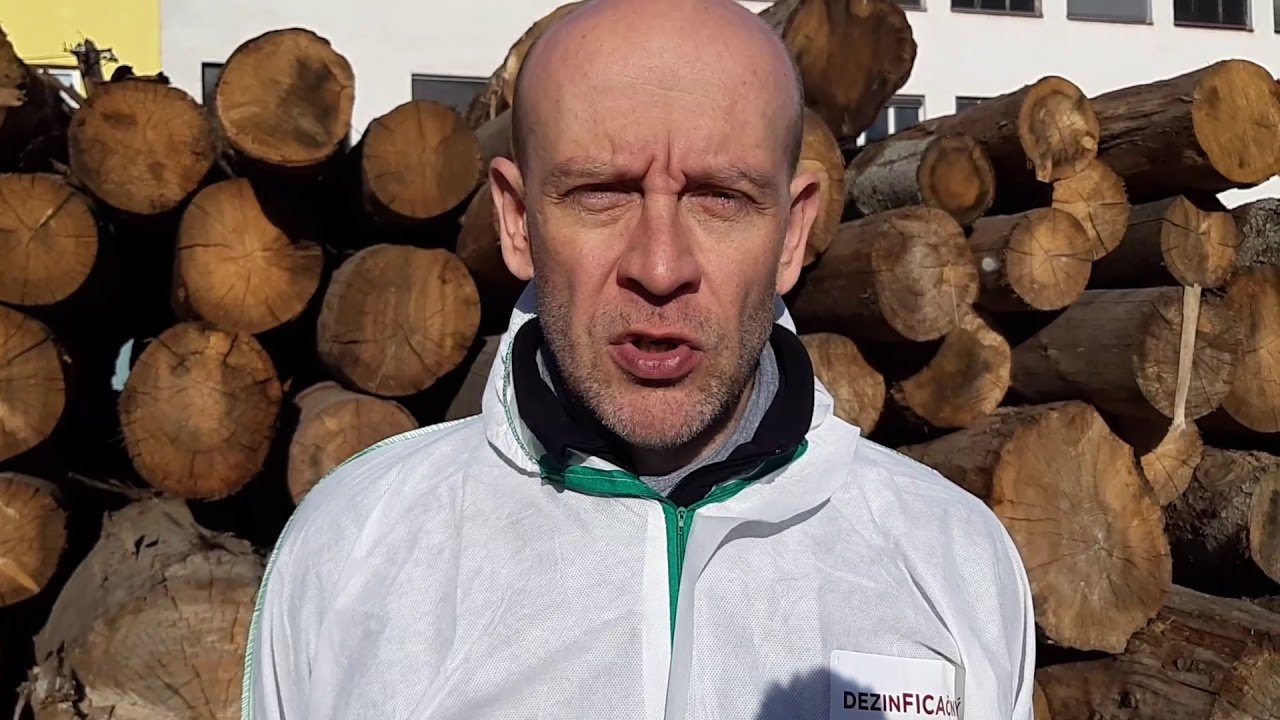 Dankov Lesostav Rev ca Dezinficovan YouTube