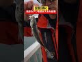琵琶湖に活きたアジをブチ込んだ結果、大変な事になりました #釣り #shorts
