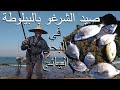 صيد السمك صيد الشرغو بالبيلوطة بتقنية التسراب بالفرشية ممتازة في البحر الهائج