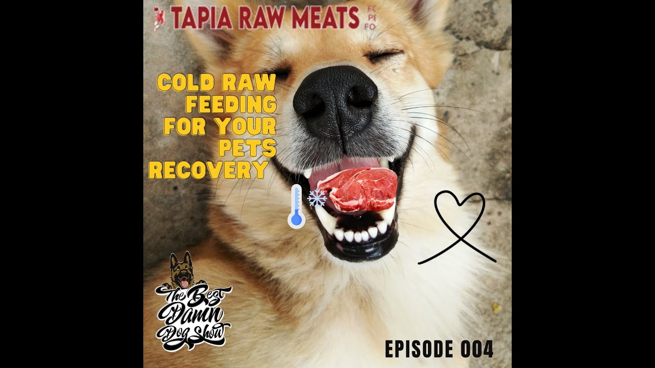 "Unlock Ultimate Dog Performance with Cold Raw Feeding! Tapia Raw Meats Reveals All- EP 004 🐾❄️"