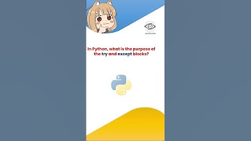 Python Mastery Quiz| Understanding "str" Method | Exception Handling in #python @RayVision2