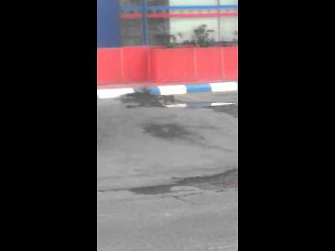 انظرو ماذا رايت اليوم عجايب و غرايب